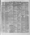 Wexford and Kilkenny Express Saturday 13 March 1886 Page 6