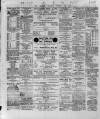 Wexford and Kilkenny Express Saturday 22 January 1887 Page 2