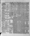 Wexford and Kilkenny Express Saturday 22 January 1887 Page 4