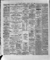 Wexford and Kilkenny Express Saturday 12 February 1887 Page 4