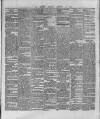 Wexford and Kilkenny Express Saturday 12 February 1887 Page 5