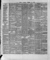 Wexford and Kilkenny Express Saturday 12 February 1887 Page 6