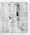 Wexford and Kilkenny Express Saturday 28 January 1888 Page 3