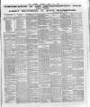 Wexford and Kilkenny Express Saturday 17 March 1888 Page 5