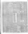 Wexford and Kilkenny Express Saturday 31 March 1888 Page 6