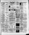 Wexford and Kilkenny Express Saturday 25 May 1889 Page 3