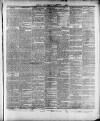 Wexford and Kilkenny Express Saturday 09 November 1889 Page 5