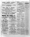 Wexford and Kilkenny Express Saturday 15 March 1890 Page 4