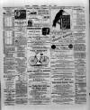 Wexford and Kilkenny Express Saturday 29 November 1890 Page 3