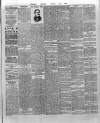 Wexford and Kilkenny Express Saturday 29 November 1890 Page 5