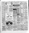 Wexford and Kilkenny Express Saturday 14 March 1891 Page 3