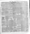 Wexford and Kilkenny Express Saturday 21 March 1891 Page 5