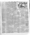 Wexford and Kilkenny Express Saturday 21 March 1891 Page 7