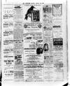 Wexford and Kilkenny Express Saturday 14 January 1893 Page 3