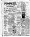 Wexford and Kilkenny Express Saturday 18 February 1893 Page 4