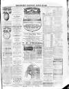 Wexford and Kilkenny Express Saturday 28 March 1896 Page 3