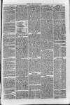 South London Observer Saturday 09 April 1870 Page 3