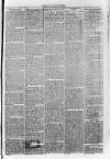 South London Observer Saturday 16 April 1870 Page 7