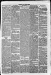 South London Observer Saturday 23 April 1870 Page 5