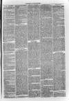 South London Observer Saturday 14 May 1870 Page 3