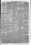South London Observer Saturday 14 May 1870 Page 5
