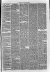 South London Observer Saturday 21 May 1870 Page 3