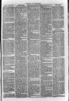 South London Observer Saturday 28 May 1870 Page 3