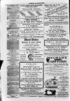South London Observer Saturday 04 June 1870 Page 8