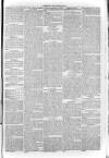 South London Observer Saturday 16 July 1870 Page 5