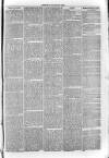 South London Observer Saturday 16 July 1870 Page 7