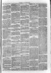 South London Observer Saturday 22 October 1870 Page 3