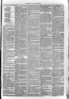 South London Observer Saturday 31 December 1870 Page 3