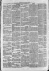 South London Observer Saturday 07 January 1871 Page 3