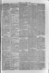 South London Observer Saturday 04 February 1871 Page 5