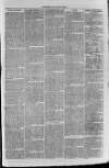 South London Observer Saturday 25 February 1871 Page 7