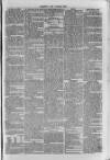 South London Observer Saturday 01 April 1871 Page 5