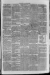 South London Observer Saturday 08 April 1871 Page 3