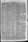 South London Observer Saturday 08 April 1871 Page 5