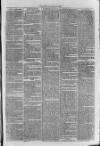 South London Observer Saturday 20 May 1871 Page 3