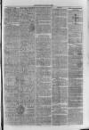 South London Observer Saturday 20 May 1871 Page 7