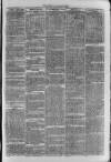 South London Observer Saturday 10 June 1871 Page 3