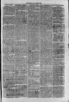 South London Observer Saturday 22 July 1871 Page 7