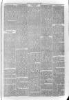 South London Observer Saturday 06 January 1872 Page 3