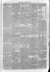 South London Observer Saturday 06 January 1872 Page 5
