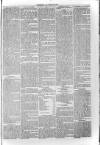 South London Observer Saturday 02 March 1872 Page 5