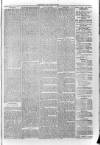 South London Observer Saturday 02 March 1872 Page 7