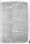 South London Observer Saturday 27 April 1872 Page 3