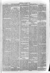 South London Observer Saturday 27 April 1872 Page 5