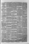 South London Observer Saturday 06 March 1875 Page 5