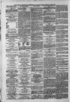 South London Observer Saturday 26 June 1875 Page 3